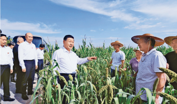 习近平：坚持把解决好“三农”问题作为全党工作重中之重 举全党全社会之力推动乡村振兴